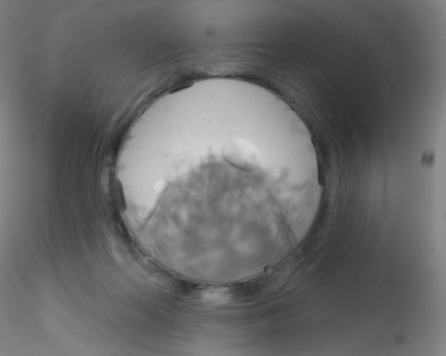 X0000115170214200911251341