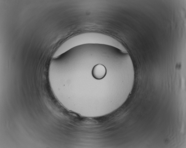 X0000115170215200911251341