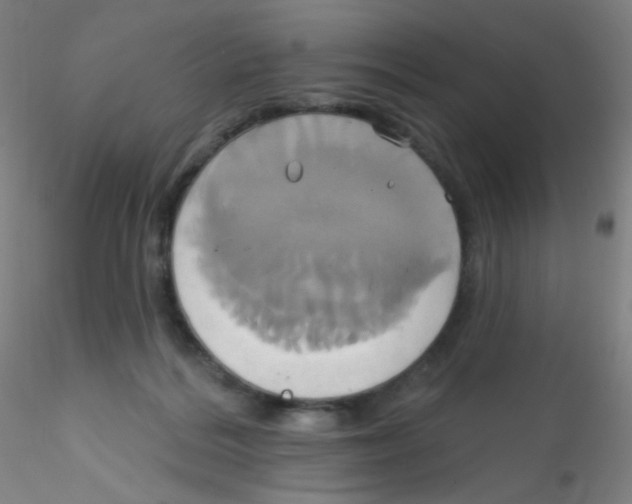 X0000115170220200911251341