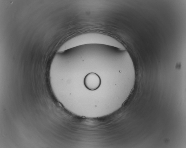 X0000115170221200911251341