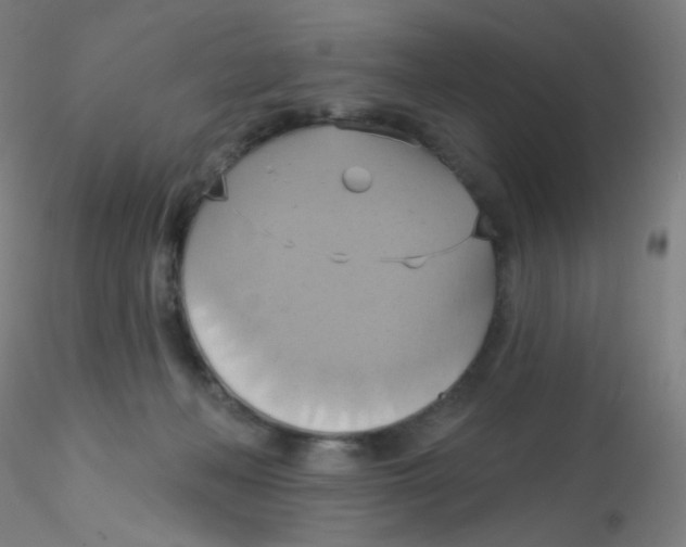 X0000115170222200911251341