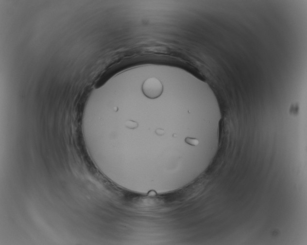 X0000115170223200911251341