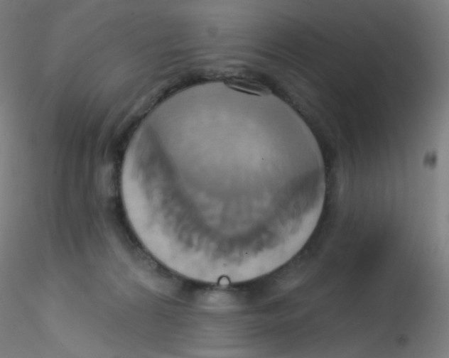 X0000115170224200911251341