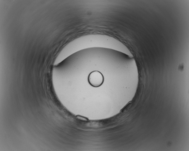 X0000115170225200911251341