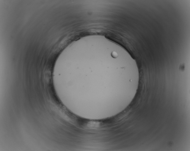 X0000115170227200911251341