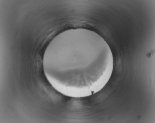 X0000115170228200911251341