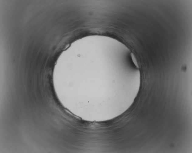 X0000115170229200911251341