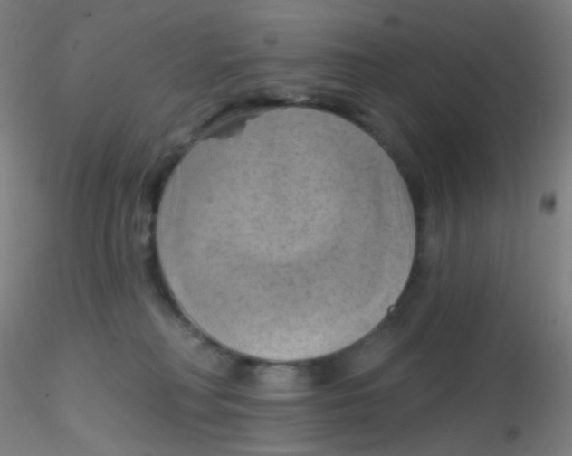 X0000115170230200911251341