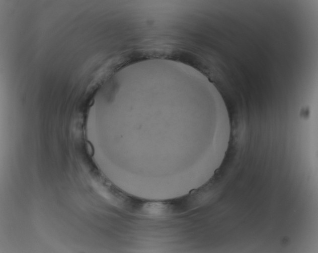 X0000115170231200911251341