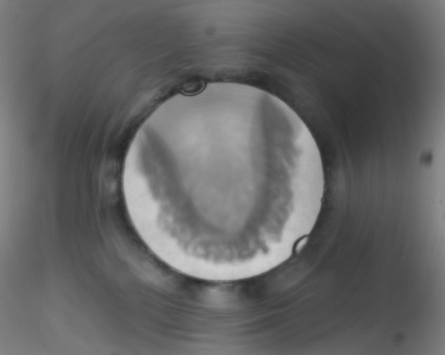 X0000115170232200911251341