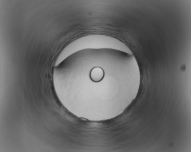 X0000115170233200911251341