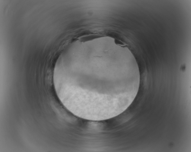 X0000115170234200911251341