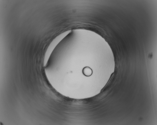 X0000115170235200911251341