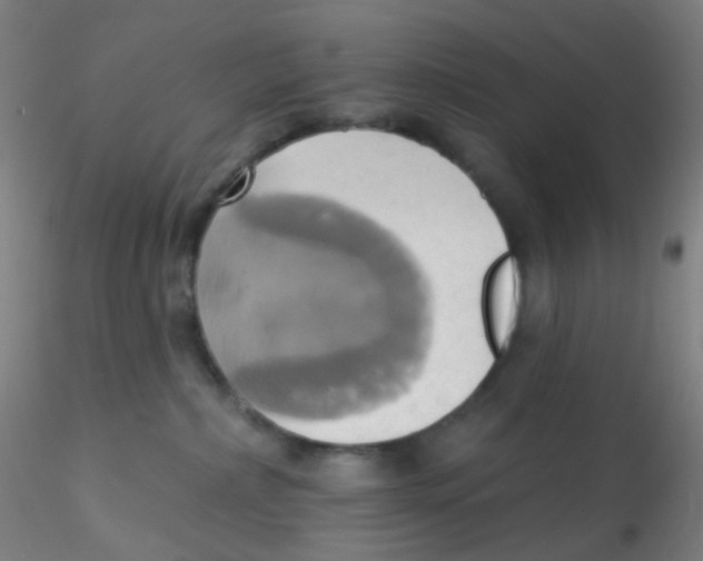 X0000115170236200911251341