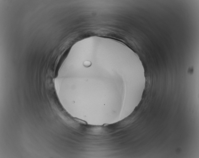 X0000115170237200911251341