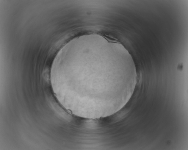 X0000115170238200911251341