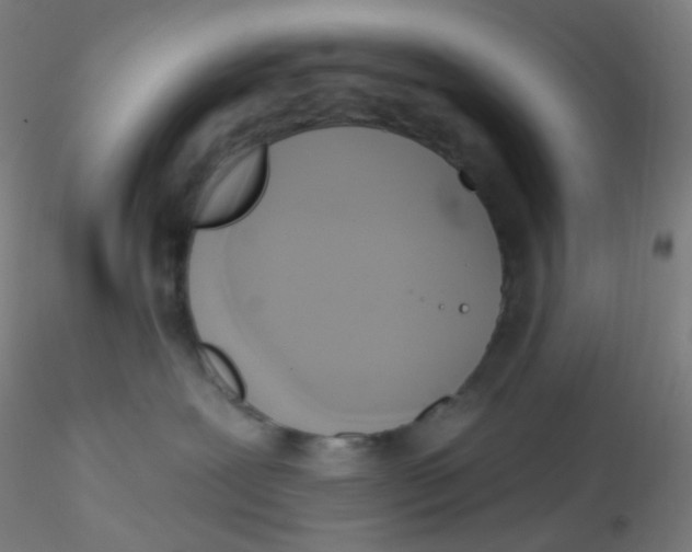 X0000115170239200911251341