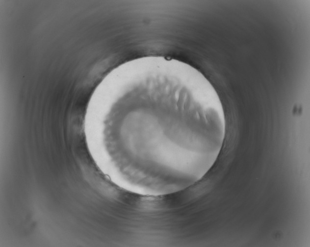 X0000115170240200911251341