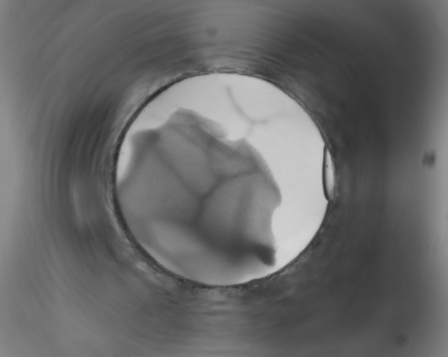 X0000115170241200911251340