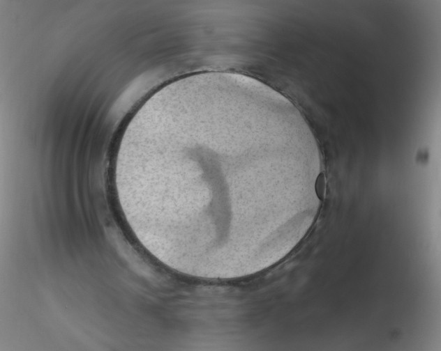 X0000115170242200911251340