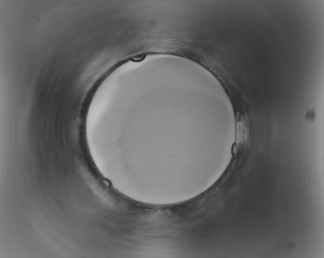 X0000115170243200911251340