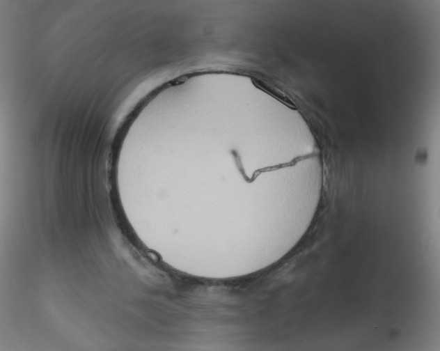 X0000115170244200911251340