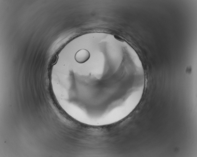 X0000115170245200911251340