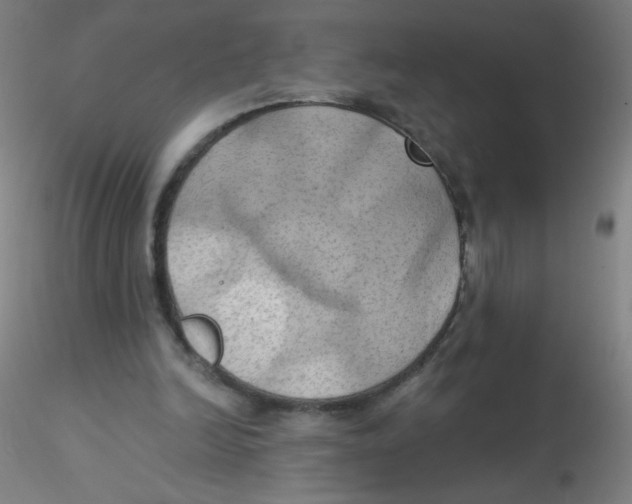 X0000115170246200911251340