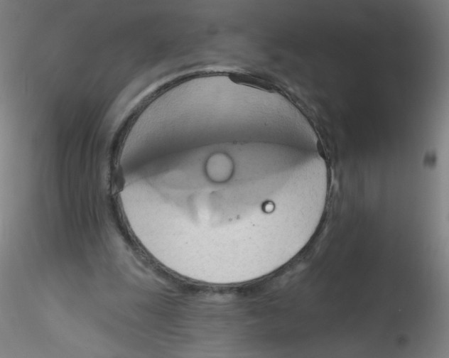 X0000115170247200911251340