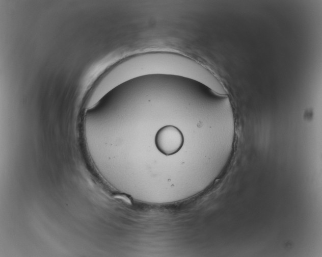 X0000115170248200911251340