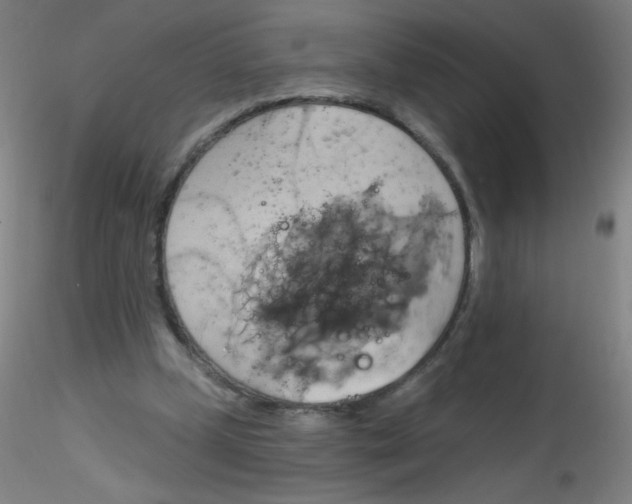 X0000115170249200911251340