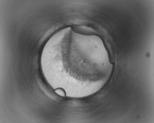 X0000115170250200911251340