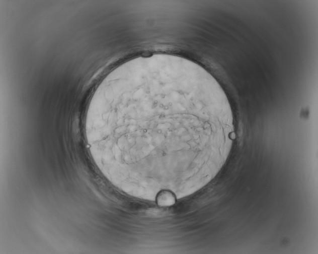 X0000115170251200911251340