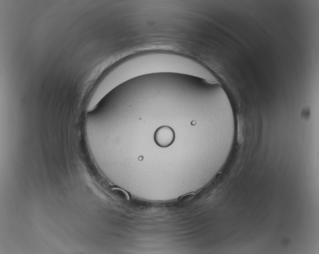 X0000115170252200911251340