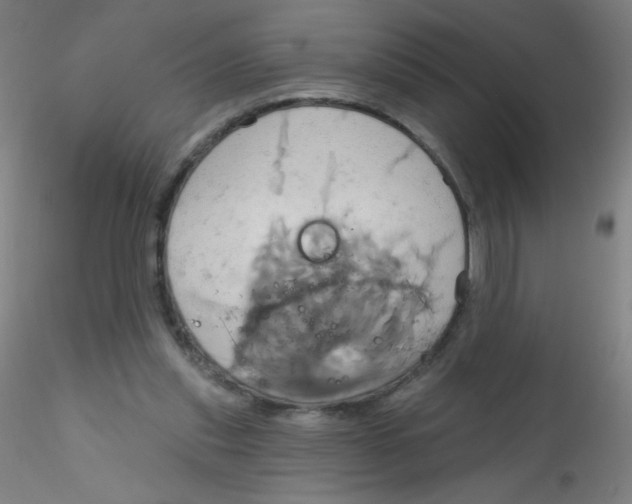 X0000115170253200911251340