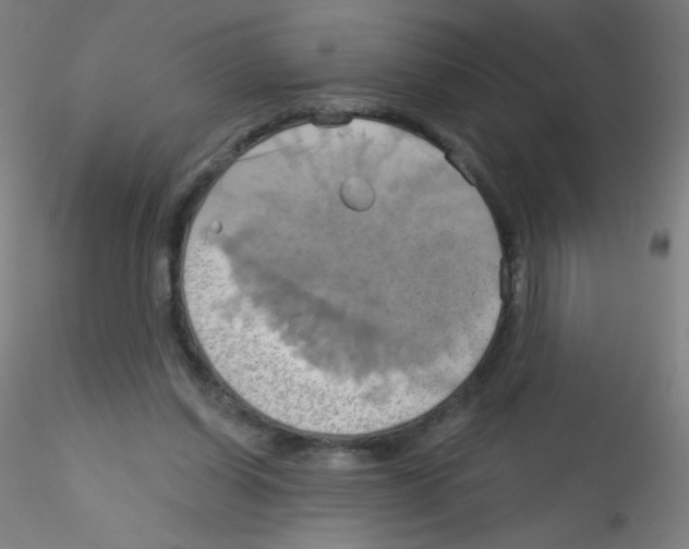 X0000115170254200911251340