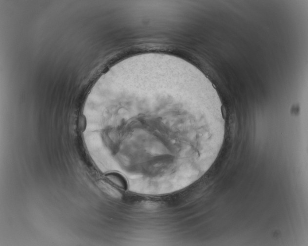 X0000115170255200911251340