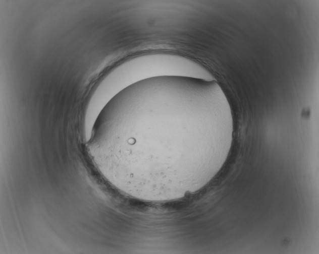 X0000115170256200911251340