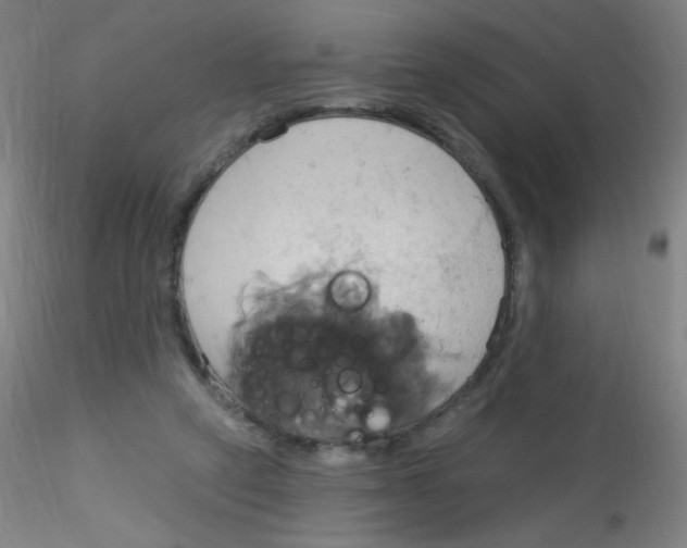 X0000115170257200911251340