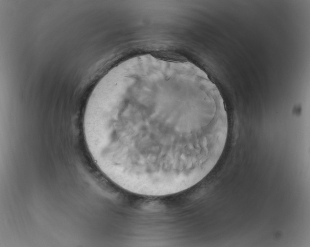 X0000115170258200911251340