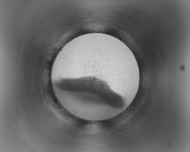 X0000115170259200911251340