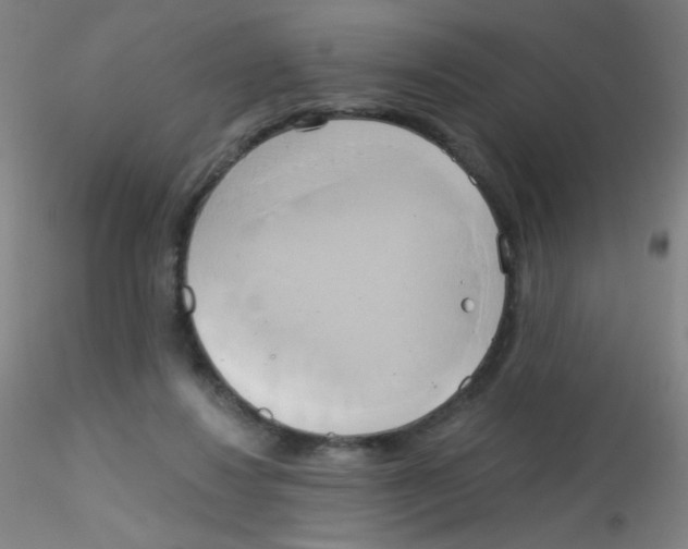 X0000115170260200911251340