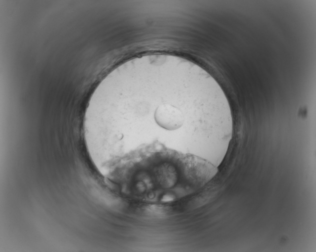 X0000115170261200911251340