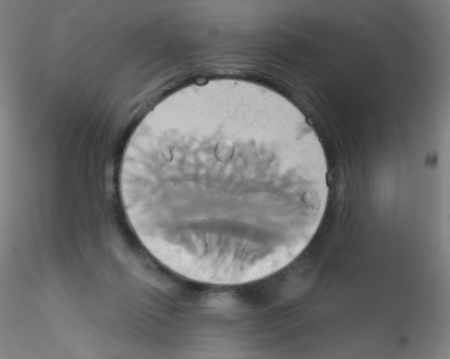 X0000115170262200911251340