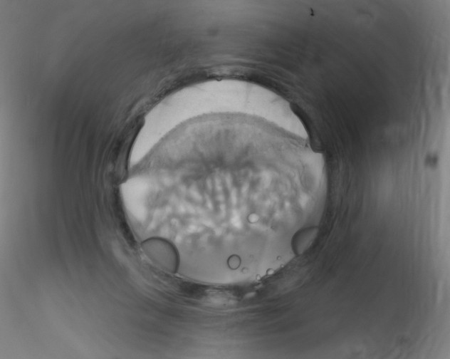 X0000115170263200911251340