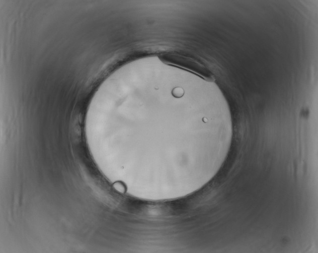 X0000115170264200911251340