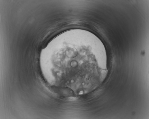 X0000115170265200911251340