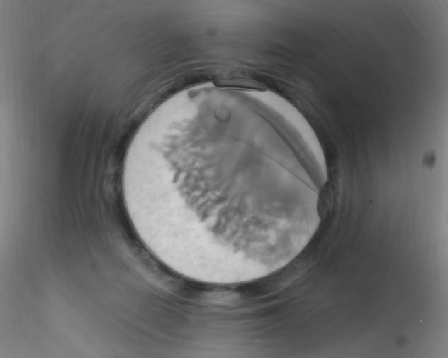 X0000115170266200911251340