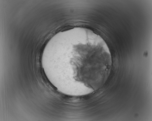 X0000115170267200911251340