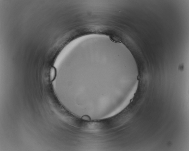 X0000115170268200911251340